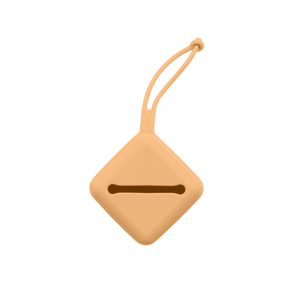 Pacifier Case - Pumpkin