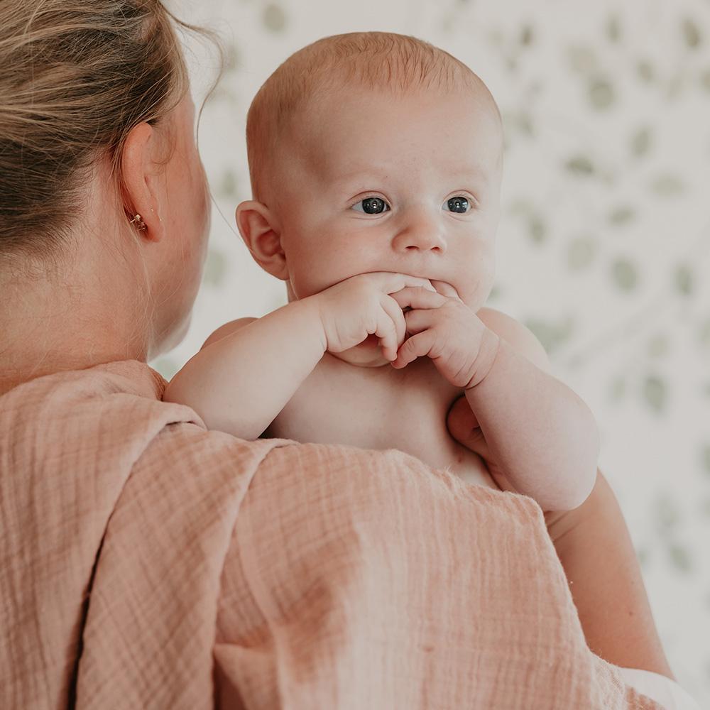 BIBS Muslin Cloth Blush